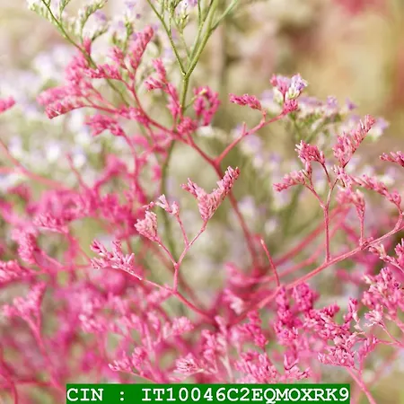 La Merella Casa de Férias Rapallo